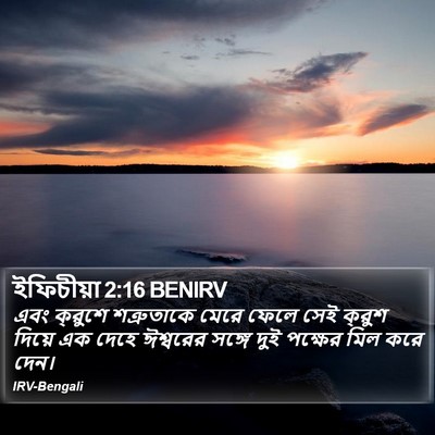 ইফিচীয়া 2:16 BENIRV Bible Verse Image