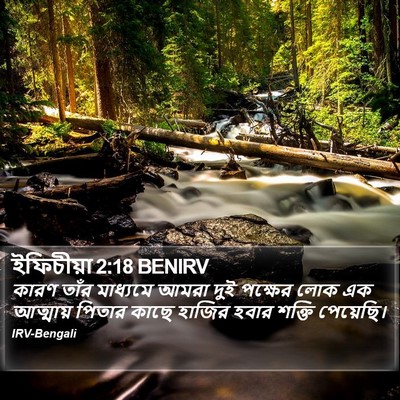 ইফিচীয়া 2:18 BENIRV Bible Verse Image