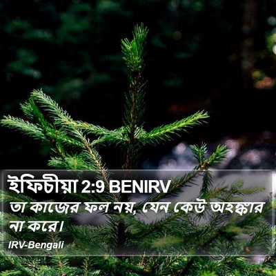ইফিচীয়া 2:9 BENIRV Bible Verse Image