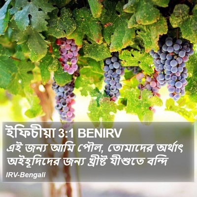 ইফিচীয়া 3:1 BENIRV Bible Verse Image