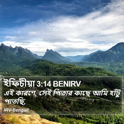 ইফিচীয়া 3:14 BENIRV Bible Verse Image