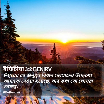 ইফিচীয়া 3:2 BENIRV Bible Verse Image