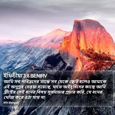 ইফিচীয়া 3:8 BENIRV Bible Verse Image