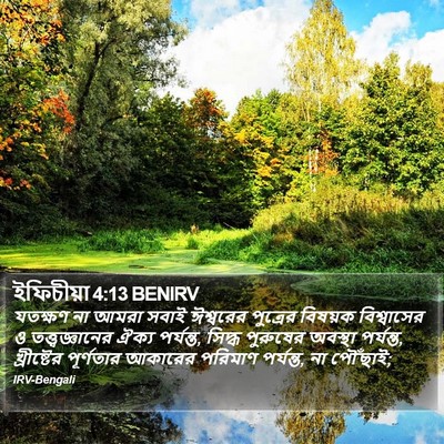 ইফিচীয়া 4:13 BENIRV Bible Verse Image