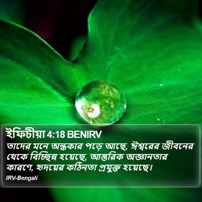 ইফিচীয়া 4:18 BENIRV Bible Verse Image
