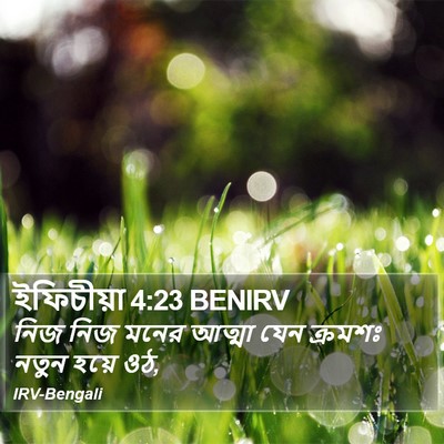 ইফিচীয়া 4:23 BENIRV Bible Verse Image