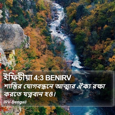 ইফিচীয়া 4:3 BENIRV Bible Verse Image