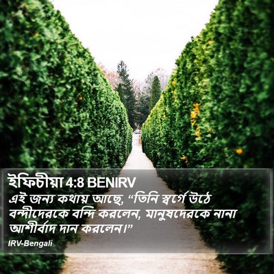 ইফিচীয়া 4:8 BENIRV Bible Verse Image