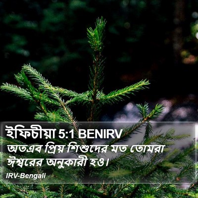 ইফিচীয়া 5:1 BENIRV Bible Verse Image