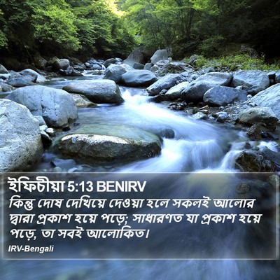 ইফিচীয়া 5:13 BENIRV Bible Verse Image
