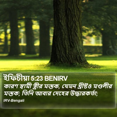 ইফিচীয়া 5:23 BENIRV Bible Verse Image