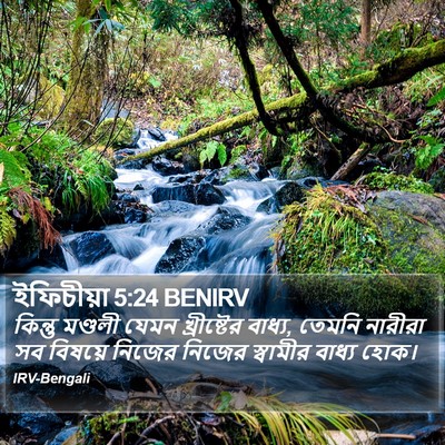 ইফিচীয়া 5:24 BENIRV Bible Verse Image