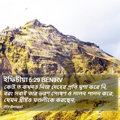 ইফিচীয়া 5:29 BENIRV Bible Verse Image