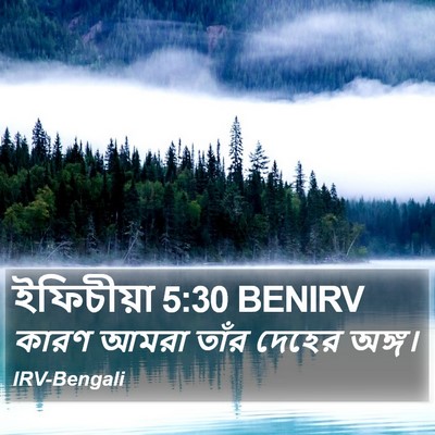 ইফিচীয়া 5:30 BENIRV Bible Verse Image