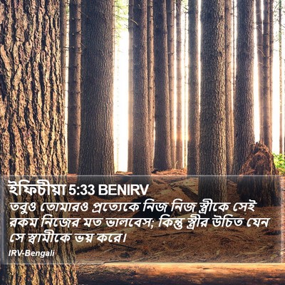 ইফিচীয়া 5:33 BENIRV Bible Verse Image