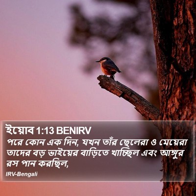 ইয়োব 1:13 BENIRV Bible Verse Image