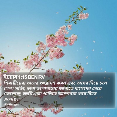 ইয়োব 1:15 BENIRV Bible Verse Image