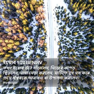 ইয়োব 1:20 BENIRV Bible Verse Image