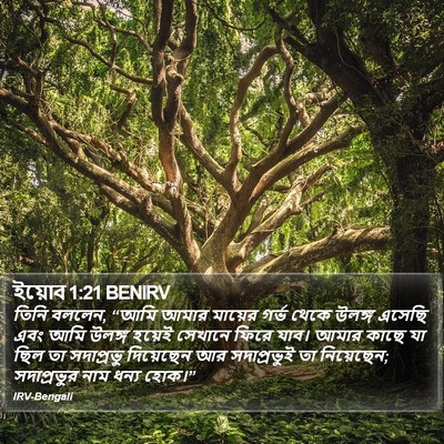 ইয়োব 1:21 BENIRV Bible Verse Image