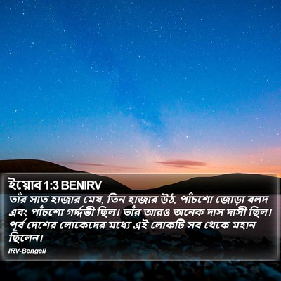 ইয়োব 1:3 BENIRV Bible Verse Image