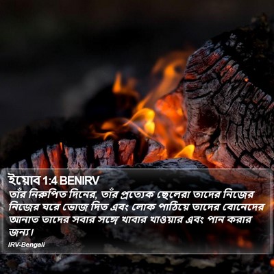 ইয়োব 1:4 BENIRV Bible Verse Image