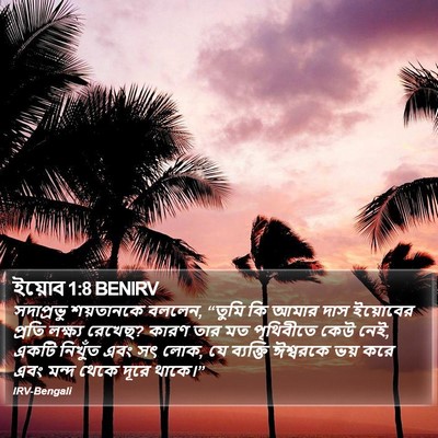 ইয়োব 1:8 BENIRV Bible Verse Image