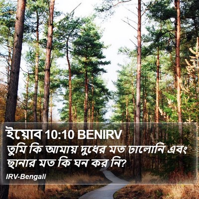 ইয়োব 10:10 BENIRV Bible Verse Image