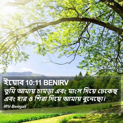 ইয়োব 10:11 BENIRV Bible Verse Image