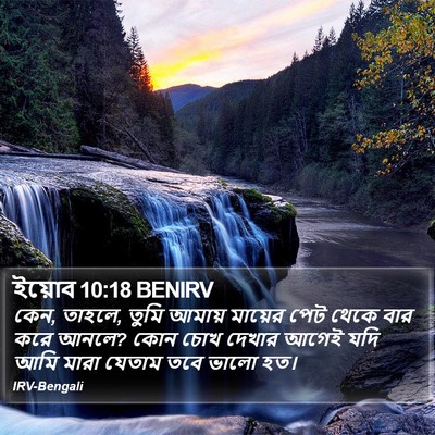 ইয়োব 10:18 BENIRV Bible Verse Image
