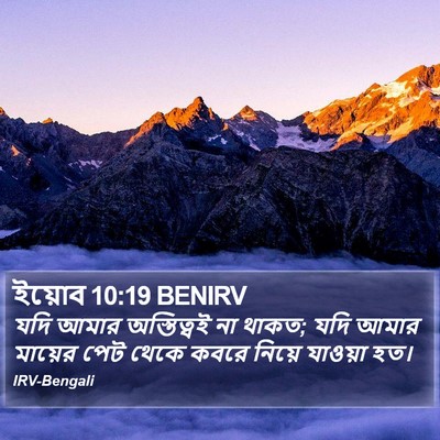 ইয়োব 10:19 BENIRV Bible Verse Image