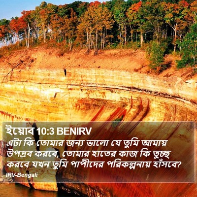 ইয়োব 10:3 BENIRV Bible Verse Image