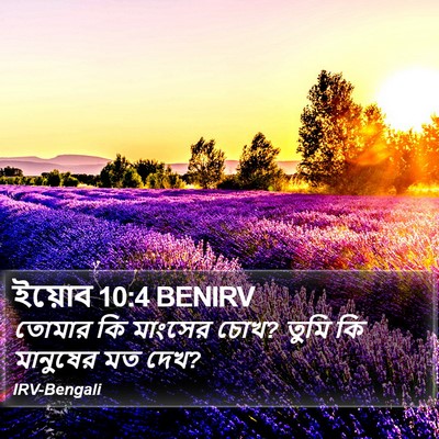 ইয়োব 10:4 BENIRV Bible Verse Image