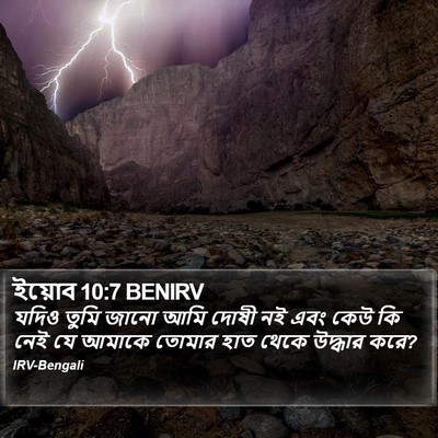 ইয়োব 10:7 BENIRV Bible Verse Image