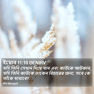 ইয়োব 11:10 BENIRV Bible Verse Image