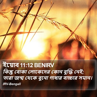 ইয়োব 11:12 BENIRV Bible Verse Image