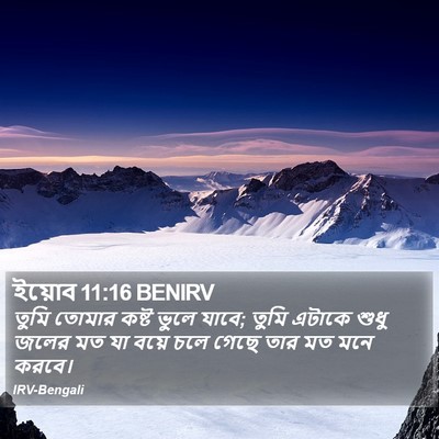 ইয়োব 11:16 BENIRV Bible Verse Image