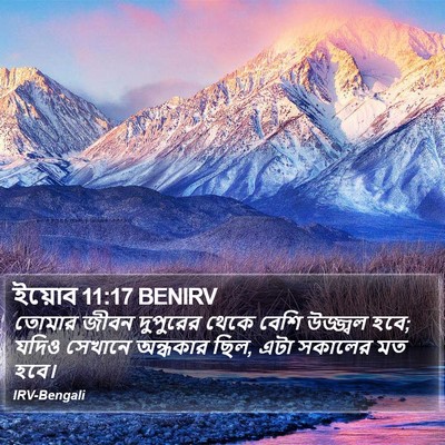 ইয়োব 11:17 BENIRV Bible Verse Image