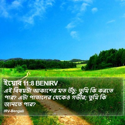 ইয়োব 11:8 BENIRV Bible Verse Image
