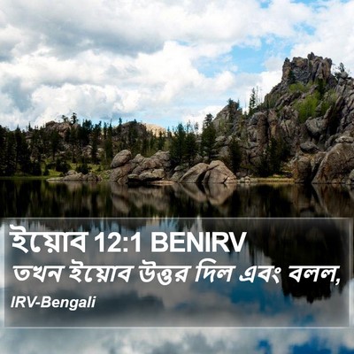 ইয়োব 12:1 BENIRV Bible Verse Image