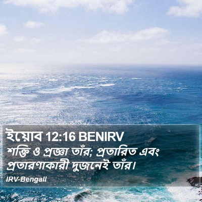 ইয়োব 12:16 BENIRV Bible Verse Image