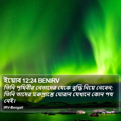 ইয়োব 12:24 BENIRV Bible Verse Image