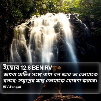 ইয়োব 12:8 BENIRV Bible Verse Image