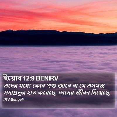 ইয়োব 12:9 BENIRV Bible Verse Image