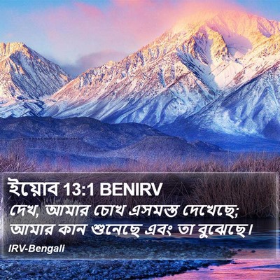 ইয়োব 13:1 BENIRV Bible Verse Image