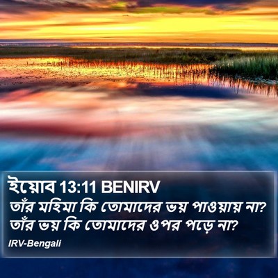 ইয়োব 13:11 BENIRV Bible Verse Image