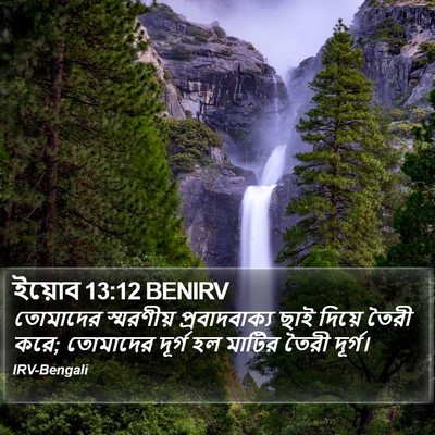 ইয়োব 13:12 BENIRV Bible Verse Image