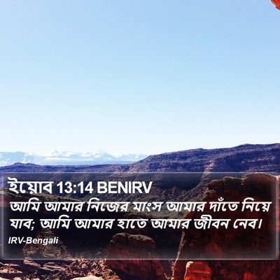 ইয়োব 13:14 BENIRV Bible Verse Image