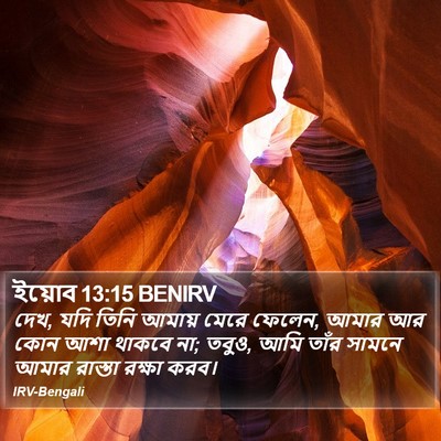 ইয়োব 13:15 BENIRV Bible Verse Image