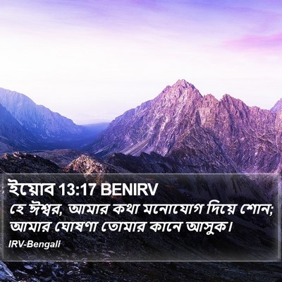 ইয়োব 13:17 BENIRV Bible Verse Image