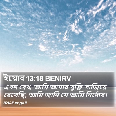 ইয়োব 13:18 BENIRV Bible Verse Image